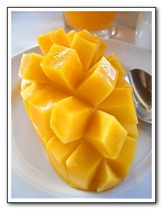 bohol-alona-mango-closeup (14k image)