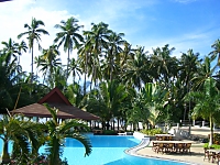 Alona Palm Swimming Pool