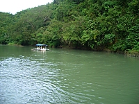 View of Loboc River