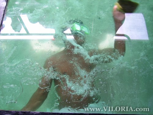 Boracay Glass Boat