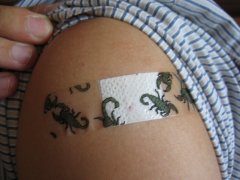 bandaid with scorpion design