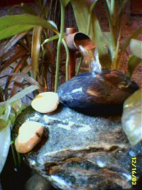 pzire71-fountain-water-rocks (18k image)